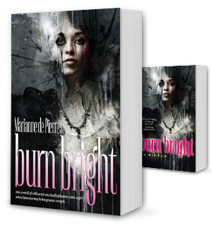 Burn Bright Book Cover