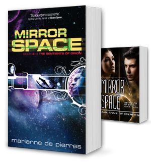 Mirror Space Book Cover