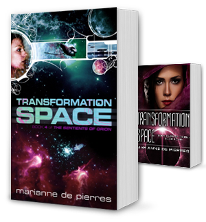 Transformation Space Book Cover